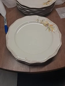 3 Pfaltzgraff Plymouth SPEISETELLER 11 1/4" NIE benutzt EUC ++ Neu Eimer 141 - Bild 1 von 6