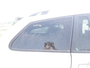 TÜRSCHEIBE HINTEN RECHTS FÜR SSANGYONG KYRON 200 XDI LIMITED 2005 1143930 - Bild 1 von 13