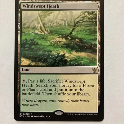 MTG Windswept Heath Khans of Tarkir 248/269 Regular Rare - Image 1 of 4