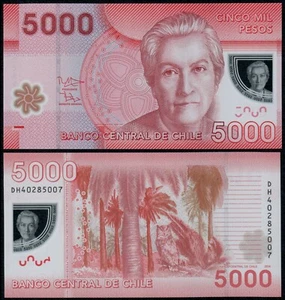 CHILE 5000 PESOS (P163e) 2014 POLYMER UNC - Bild 1 von 1