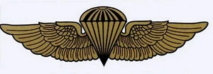 Marine Navy Parachutist Decal - Picture 1 of 1