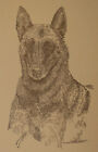 Belgian Malinois Dog Art Portrait Print 93 Kline adds dog name free WORD DRAWING