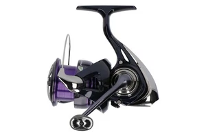 DAIWA 24 Prorex X LT 2000 by TACKLE-DEALS !!! - Bild 1 von 1