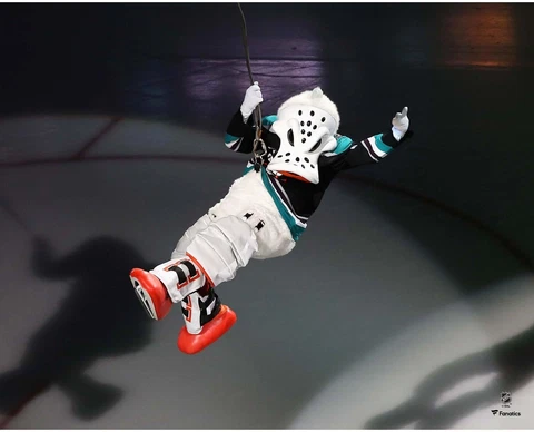 Wild Wing Anaheim Ducks Unsigned Pregame Rappelling Entrance Photograph Cover