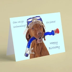 Can we go swimming? Dog with snorkle humour birthday card for family friend - Picture 1 of 1