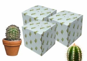 Cajas de diseño de cactus como nuevas de 5x5x5", reciclables, reutilizables para enviar tazas cajas de regalos - Imagen 1 de 8