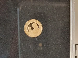 (Lotto 980a) 1997 Diana - Ritratti di un pronunciato - Moneta d'Oro 14ct - Foto 1 di 2