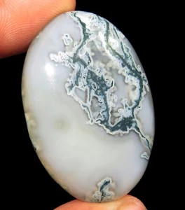 Agata Muschio Naturale 42,45 Ct Pietra Preziosa Sciolta Certificata Non Trattata Muschio Agata Gemma - Foto 1 di 7