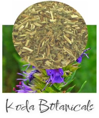 KODA BOTANICALS HYSSOP Herbal Tea PREMIUM GRADE Hyssopus officinalis Dried Herb