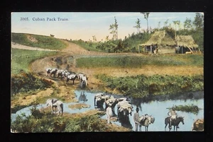 1914 Cuban Pack Train Donkeys Horses Rustic House Cuba Postcard - Picture 1 of 2