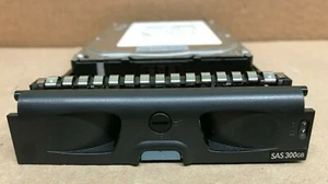 INFORTREND 300GB With caddy for ESDS S12F-R1440 - Picture 1 of 2