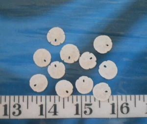 ~ Sand Dollars ~ 10 ~ *MEDIUM* (1/2") ~White~ Shellcraft ~ Sailor's Valentines ~ - Picture 1 of 5