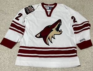 Rare Autographed Phoenix Coyotes Keith Ballard Jersey - Picture 1 of 12