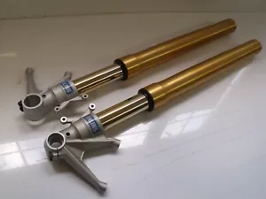 DUCATI 1098S OEM OHLINS FORKS FRONT SUSPENSION STREETFIGHTER 1198 - Picture 1 of 9