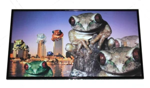 Frogs Over Jacksonville Florida Downtown Large  12.5"  x  22.5"  Framed Picture - Picture 1 of 5