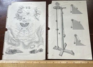 2  Antique Prints c1870, 9 5/8 x  6 1/2 in. FORTIFICATION, FORCE - Picture 1 of 5
