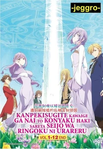 Anime DVD Kanpekisugite Kawaige ga Nai to Konyaku Haki Vol. 1-12 End ENG SUB - Picture 1 of 5