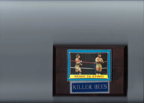 THE KILLER BEES PLAQUE WRESTLING WWF   C Cover
