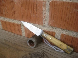 1900s Vintage 2 1/2" Blade ** BINGHAM'S BEST BRAND *** Carbon Paring Knife USA - Imagen 1 de 10