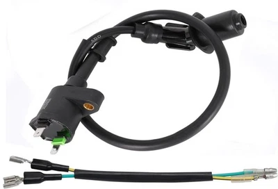 Bobina de encendido para Arctic Cat 50 90 350 366 400 DVX TRV utilitario 2006-2013 Foto 1 de 4