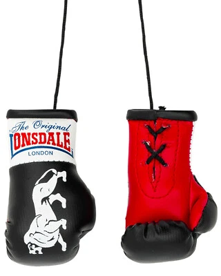 Lonsdale Mini Boxhandschuhe Promo - Bild 1 von 4
