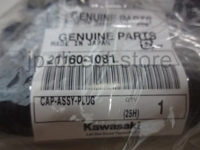 Tapa de enchufe original Kawasaki Ninja ZX-6 ZZR600 21160-1081 X4 FABRICANTE DE EQUIPOS ORIGINALES Foto 1 de 4