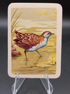 Kinkara Tea Australiana Series Birds #168 Spotted Crake - Imagen 1 de 2