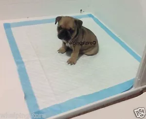 Heavy Duty Puppy Pads whelping box liner EX large size layer to suit 60 x 90cm - Picture 1 of 1