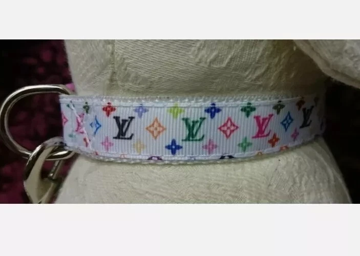 SMALL DOG COLLAR + LEAD 8"-12" NECK. Chihuahua, puppy. 20mm wide - Image 1 of 1