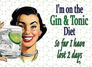 I'm On The Gin And Tonic Diet... funny small steel sign 200mm x 150mm - Picture 1 of 1