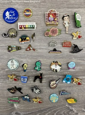 Lote de prendedores y botones de esmalte surtido de bisutería con dinosaurio leopardo floral Foto 1 de 4