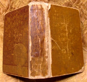 unusual 1884 Hastings Birthday Book Repository Press hardback book -400 pages - Picture 1 of 10