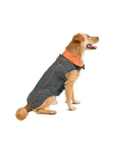 Chaqueta Trailblazer Dog Gone Smart 8" (cuello a cola) gris con naranja Foto 1 de 2