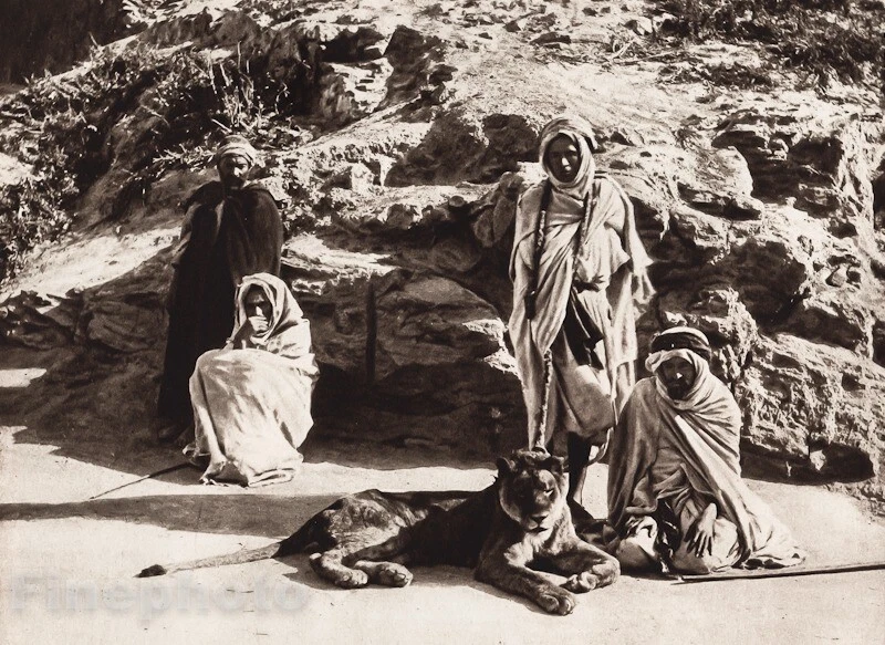 1924 年老式北非南非奥兰僧侣狮子莱纳特和兰德里克照片凹版 — 第 1/1 张图片