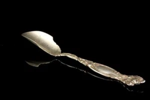 ANTIQUE ART NOUVEAU INTERNATIONAL FRONTENAC LILY SCOOP SPOON A294 - Picture 1 of 1