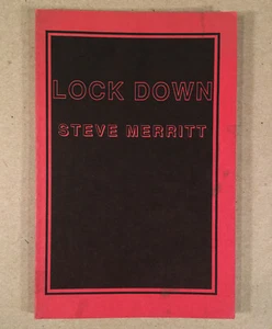 LOCK DOWN, Steve Merritt (Guitarist for Third Rail) 1990 1st Edition Paperback - Bild 1 von 4