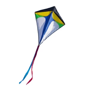 Single Line Kite with Long Tail Large Kite Toy Primary Stunt Kite for Boys Girls - Picture 1 of 12