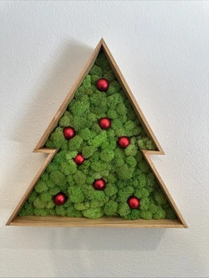 New Christmas Tree Wall Art Framed Preserved Moss Interior Home Decor Design 15” - Image 1 of 4