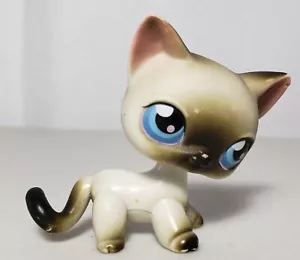Littlest Pet Shop #5 LPS gatto siamese a pelo corto con occhi blu HASBRO 2004 - Foto 1 di 6