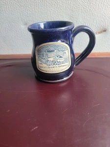 WEST BADEN SPRINGS Hotel / Coffee Mug /Drip Glaze/ 2019 DENEEN POTTERY/0925-gw3 - Picture 1 of 10