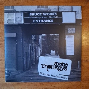 Arctic Monkeys. When The Sun Goes Down. 7"Vinyl Record 2006. - Picture 1 of 4