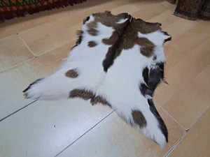 Goat Skin, Scandinavian Style, Home Gift, Goat Leather, Goat Pelt, 1.3 x 2 ft - Picture 1 of 21