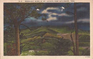 Gatlinburg, TENNESSEE - Mount Leconte - Moonlight - Picture 1 of 2
