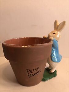 Peter Rabbit Teleflora Gift Flower Pot Planter Beatrix Potter 5" Diameter