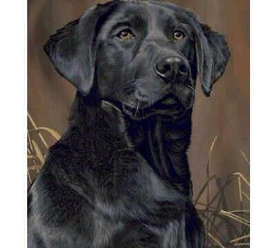 Pintura De Retrato De Perro Por Números Linda Decoración De Pared De Lona Negra Mascota Animal • 113.08€
