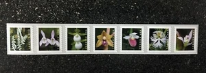 2020USA Forever Wild Orchids - Coil Strip of 7 Mint flowers - Picture 1 of 1
