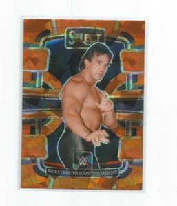 RICKY "THE DRAGON" STEAMBOAT 2024 PANINI SELECT WWE ORANGE CRACKED ICE PRIZM #93 - Picture 1 of 1