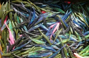 20ct ASSORTMENT 3.75" Baby SUPER FLUKES Bass Fishing Baits Soft Jerkbait Minnows - Picture 1 of 6
