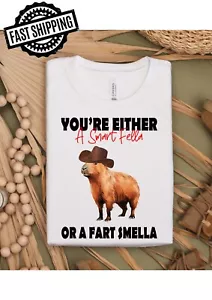 A Smart Fella Or Fart Smella Fun/Rude/Suggestive T-Shirts For T-Shirt Nights.. - Picture 1 of 13