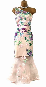 BNWT CHI CHI LONDON Peplum Floral Lace Dress Sz 16 One Shoulder Pink Occasion - Picture 1 of 12